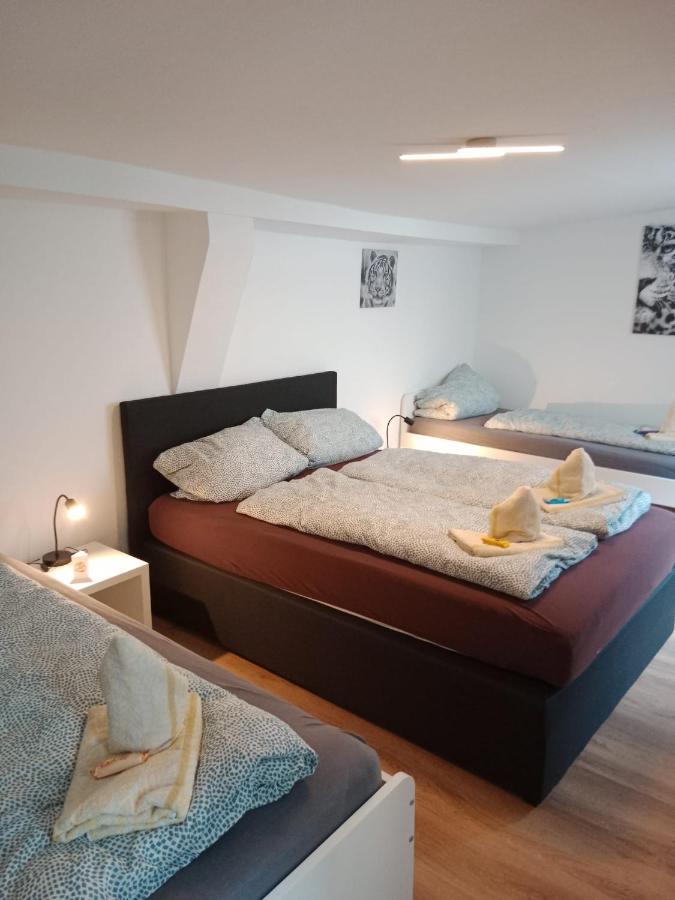 Flensburg Zentrum 6 Kültér fotó